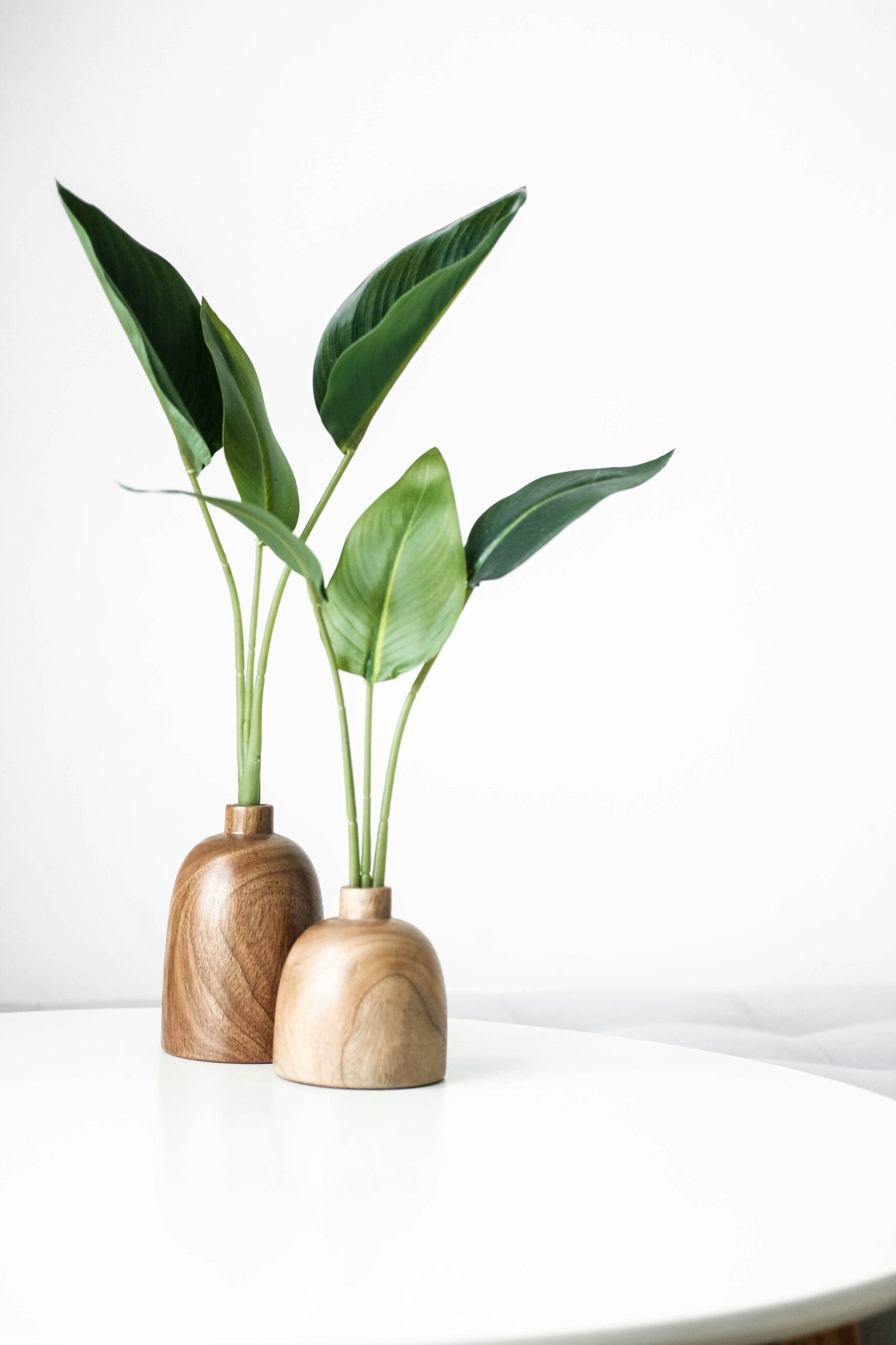 the benefits of plant nurseries webfreen.com