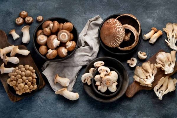 Mushroom Puns to Make You Laugh! mushroom puns