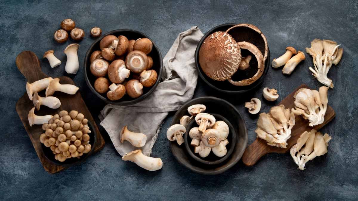 mushroom puns